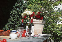 Garten Stilleben